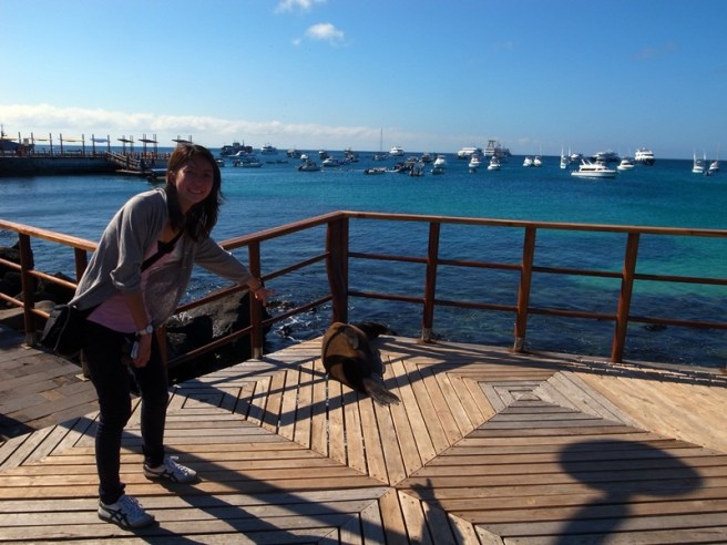 gala san cristobal 1