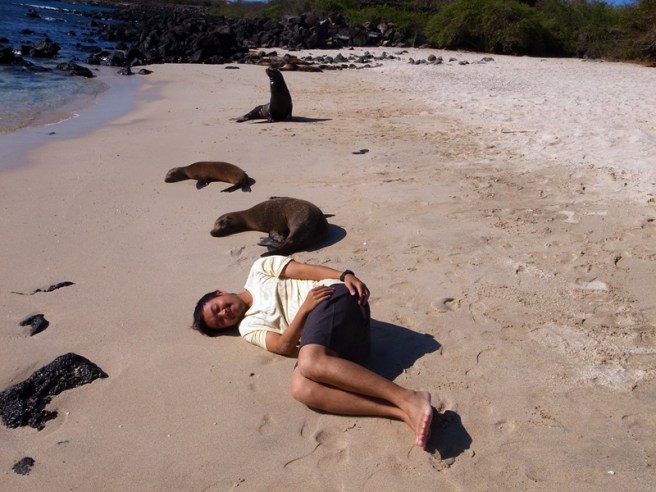 gala san cris beach sleep