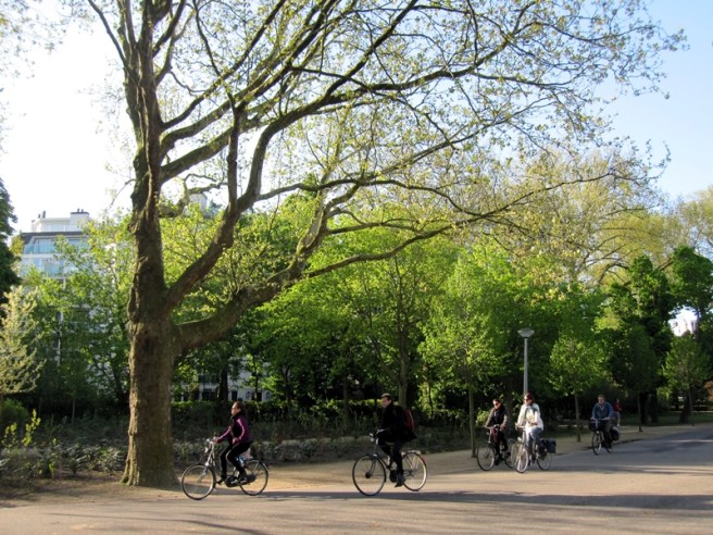 今日終於天晴，大清早就起來，去了附近的Vondelpark晨運