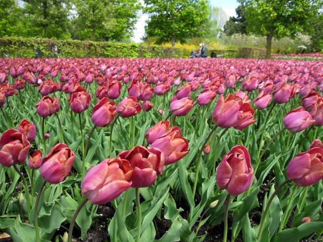 這個顏色很特別