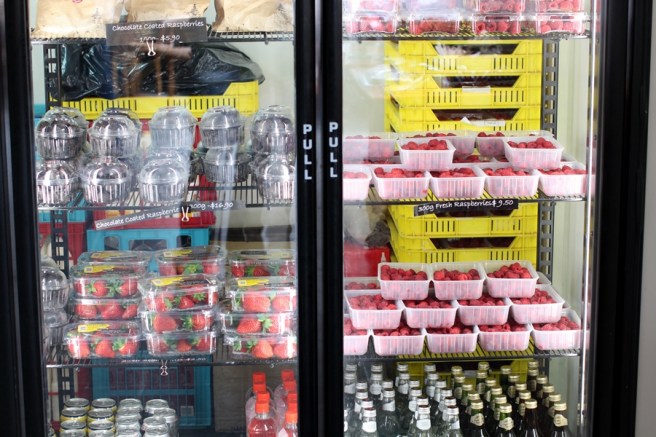 第一站到了一個Rasberry Farm，也有其他不同的Berry賣