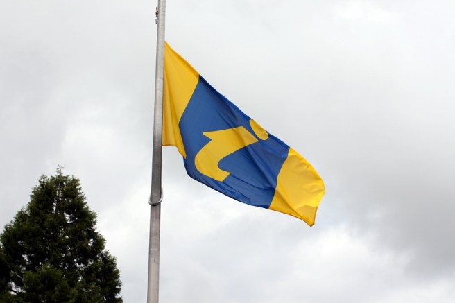 差不多每個城鎮都有遊客中心，看到上面的i標記就是了