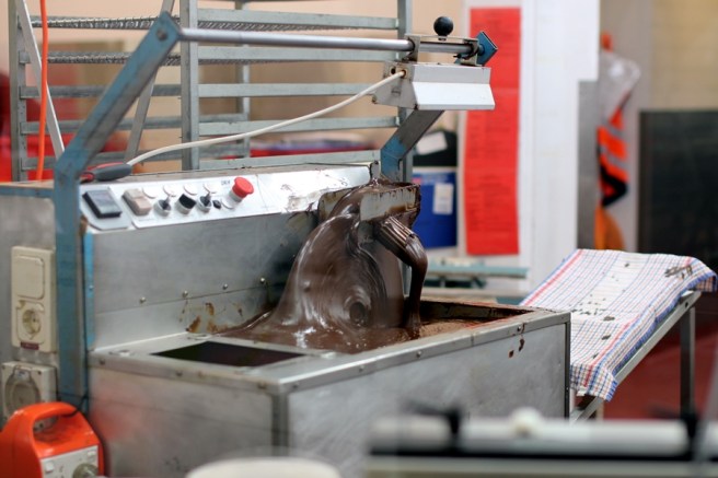 去完Sheffield，我們就折回去Devonport的路上，途經一家朱古力店