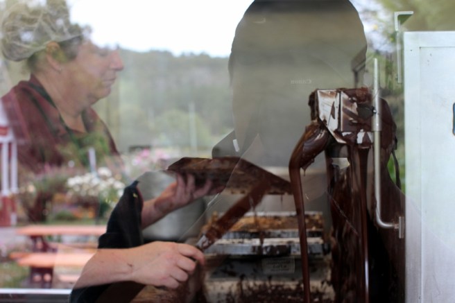 可以看到他們製朱古力的過程，當然最重要的是有朱古力試食