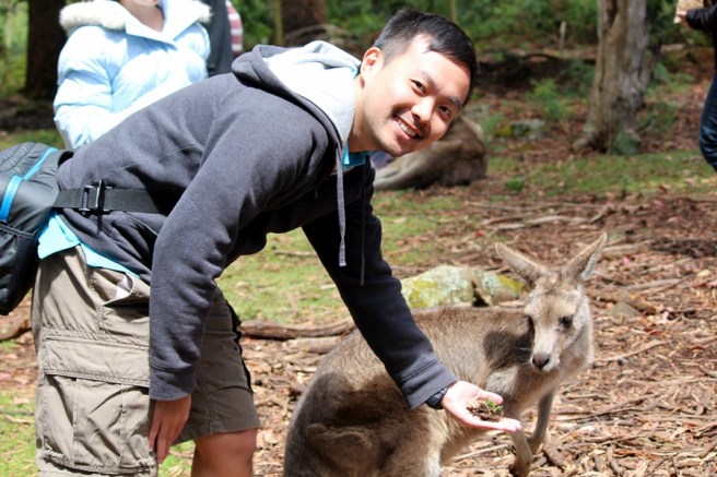 看不下去這殘忍的場面，我們就去別處，發現了袋鼠的蹤影