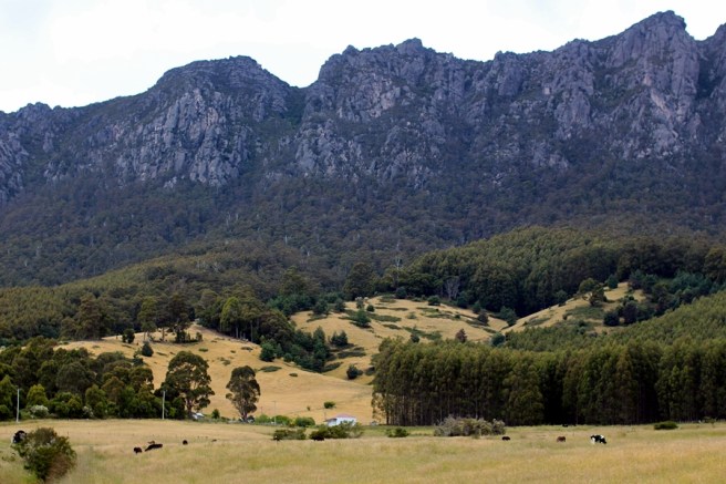 Goodbye Cradle Mountain。有緣再來