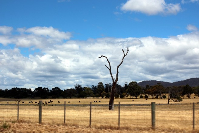 一路向南走，天氣就越來越好