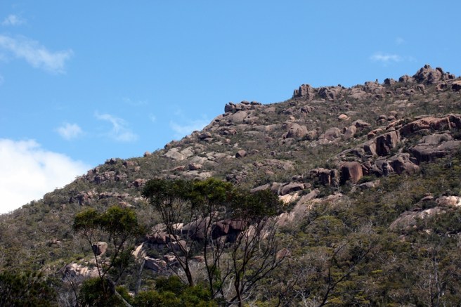 泊好車，我們就開始去登高了