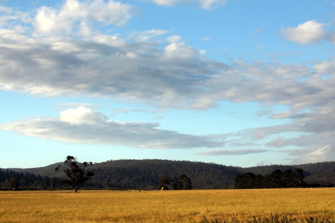 雖然要駕兩個多小時才到，總共五個小時來回，不過沿途風景很美