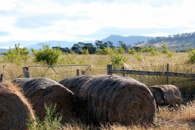 住在這裡不用砍柴，農莊主人會帶你參觀他的農莊，介紹不同的動值物