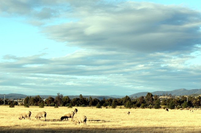 Richmond就在Hobart以東北大約三十分鐘的車程。不喜歡住在城市的人可到這裡住在Cottage或Farm House或Yineyard