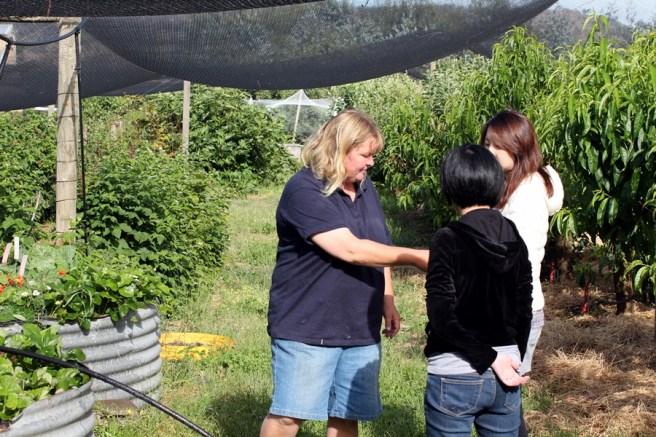 除了動物，還有不少水果蔬菜