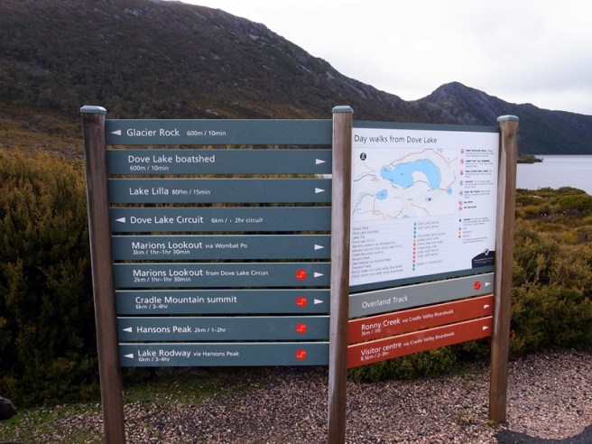 從Dove Lake可以走Dove Lake Circuit，也可以走到Marion Lookout去看Cradle Mountain