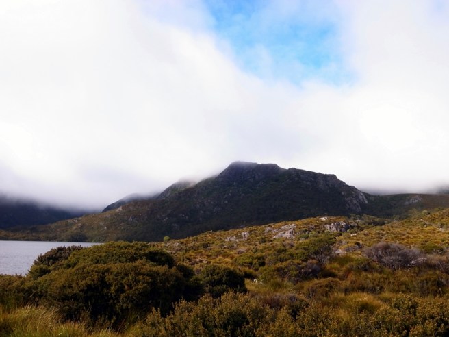 [遊記] 澳洲塔斯曼尼亞自駕遊(2) – The Northwest and Cradle&nbsp;Mountain