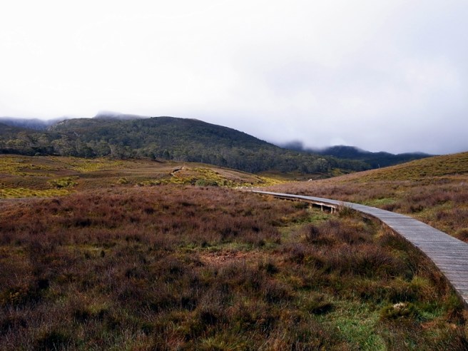 希望下次有機會再上Cradle Mountain上的Crater Lake