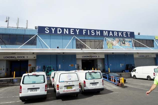 [悉尼親子遊] 市中心漁市場