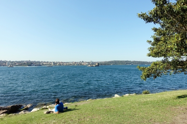 [悉尼親子遊] 市中心的Royal Botanic&nbsp;Garden公園