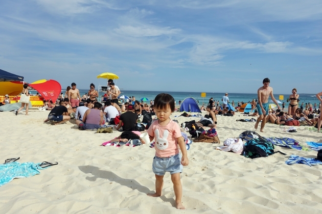 [悉尼親子遊] Bondi Beach與Manly Beach&nbsp;(2Y6M)