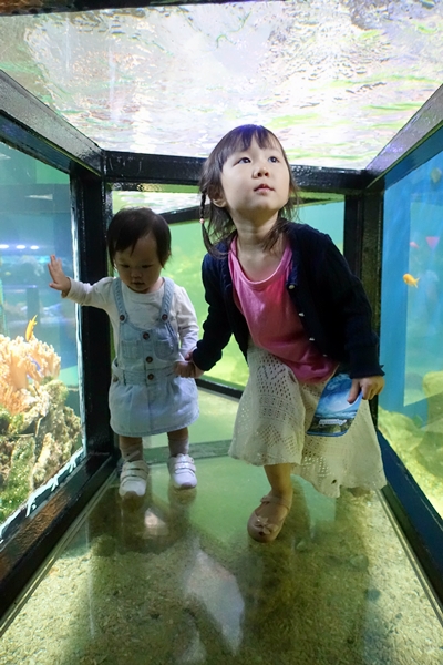 [暑假親子遊] 歐洲波羅的海遊記(十一．下) – 瑞典斯德哥爾摩博物館島Djurgården