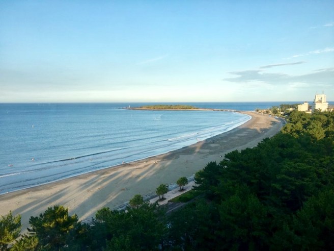 2019-07-28 17.39.37-2